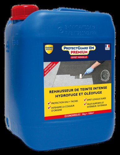 ProtectGuard Effet Mouille PREMIUM 5л.